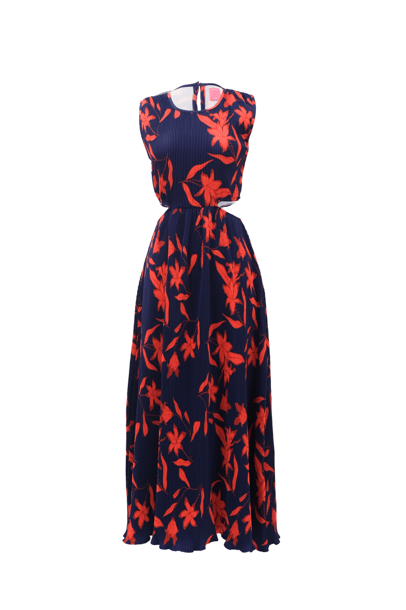 Arianna Dress in Red Midnight